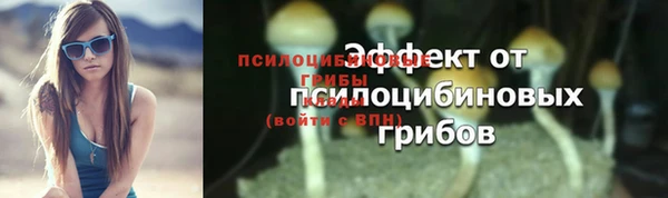 a pvp Медногорск