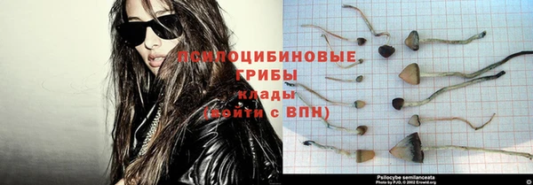 a pvp Медногорск